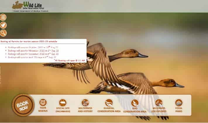Kuno National Park Safari Tickets Booking Online 