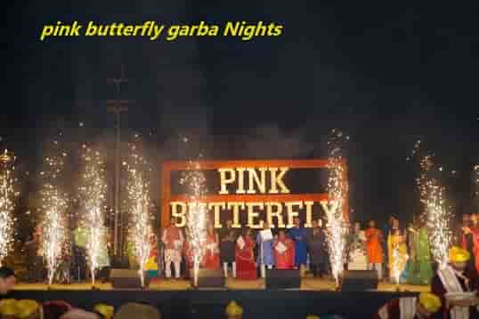  Pink Butterfly Garba Price 